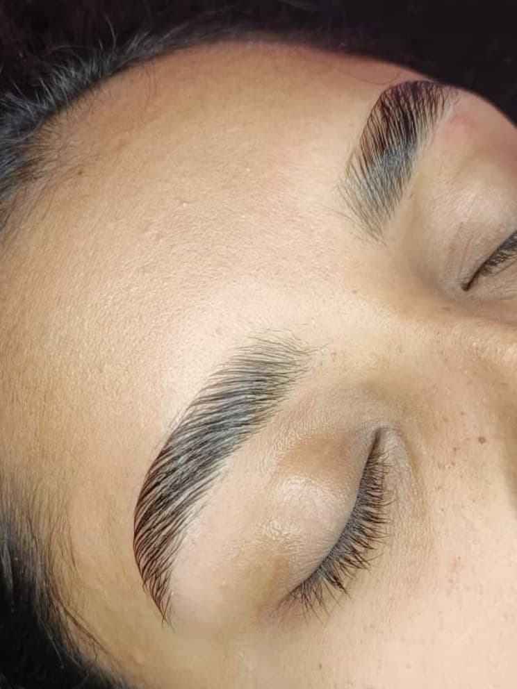 Cejas laminadas